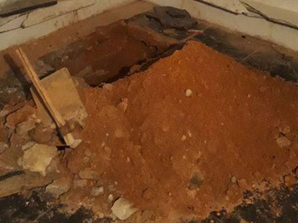 తవ్వకాల్లో నాణాలు..!