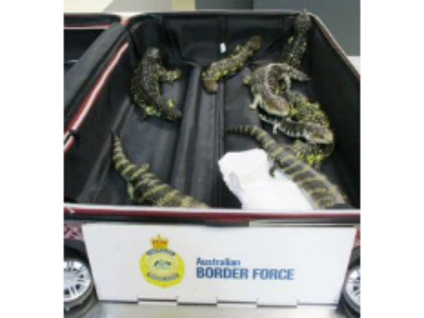 తీరా ఒపెన్ చేస్తే..! తీరా ఒపెన్ చేస్తే..!