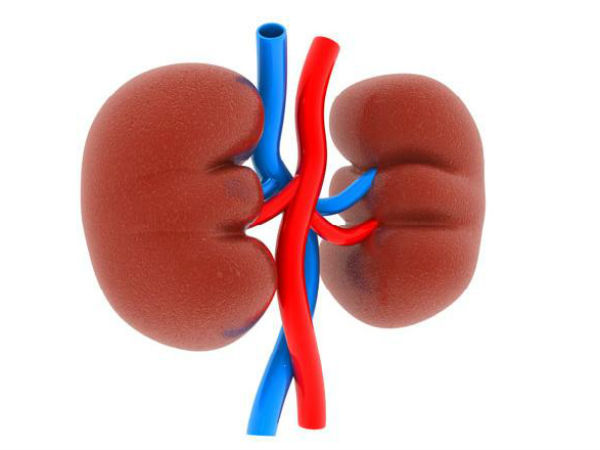 కిడ్ని ఇస్తే 20 లక్షలు ఇస్తాం, టర్కిలో ట్రాన్స్‌ప్లాంటేషన్ 