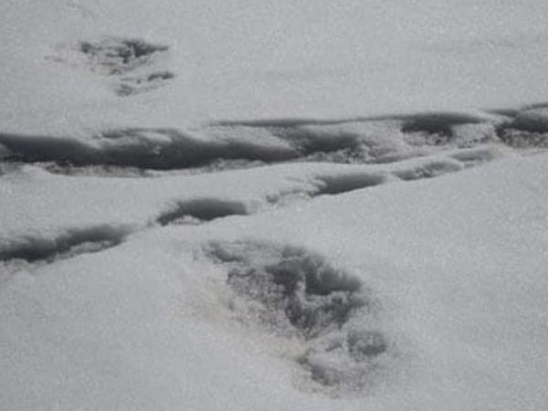  సోషల్ మీడియాలో వైరల్