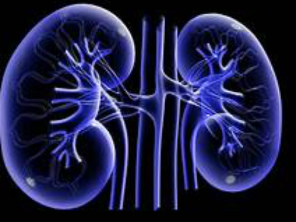 విశాఖలో కిడ్నీ రాకెట్ గుట్టురట్టు విశాఖలో కిడ్నీ రాకెట్ గుట్టురట్టు