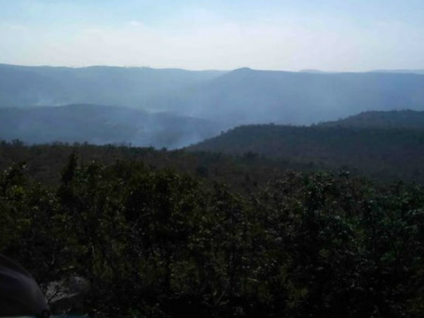  నల్లమల అటవీ ప్రాంతంలో తప్పిపోయిన చిన్నారి శ్రావణి