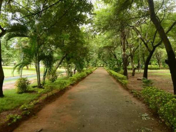 హరితహారం పథకం కింద లక్షల మొక్కలు..! ఎటు పోయినట్టు..!! హరితహారం పథకం కింద లక్షల మొక్కలు..! ఎటు పోయినట్టు..!!