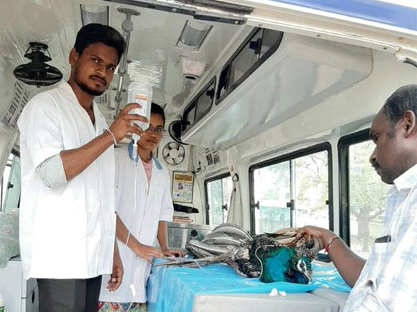 మానవత్వం పరిమళించింది