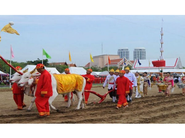 పంటలను డిసైడ్ చేసే తెల్లని జోడెద్దులు