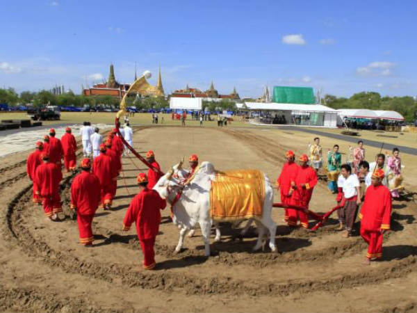 బియ్యం ఎగుమతిలో భారత్ తర్వాత థాయ్‌లాండ్ టాప్