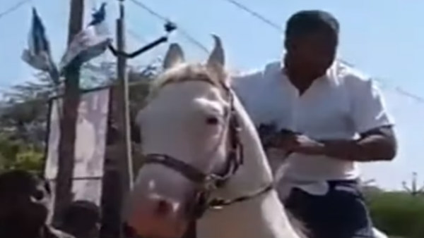 ap minister ride in horse ap minister ride in horse