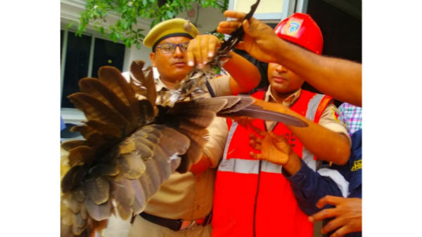 హుటహుటిన ..