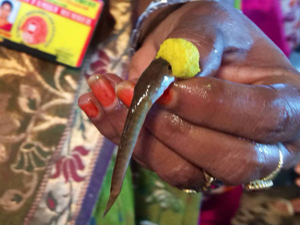 చేప ప్రసాదం పంపిణీ నిలిపివేయాలని కోర్టు మెట్లెక్కిన బాలల హక్కుల సంఘం చేప ప్రసాదం పంపిణీ నిలిపివేయాలని కోర్టు మెట్లెక్కిన బాలల హక్కుల సంఘం