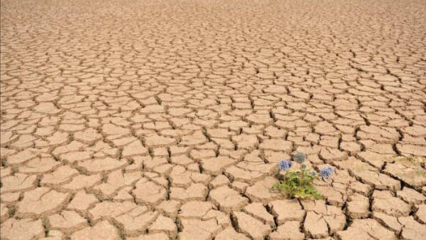  ఖరీ‌ఫ్ కు జూన్‌లో వర్షాలే కీలకం..!అనేక ప్రాంతాల్లో వేసవి వాతావరణం..!!