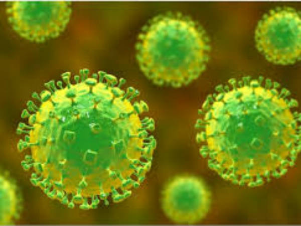 ఎర్నాకుళం యువకుడిలో నిఫా లక్షణాలు