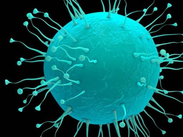  సోషల్ మీడియాలో ప్రచారం