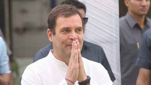 వర్కింగ్ ప్రెసిడెంట్‌పై నిర్ణయం