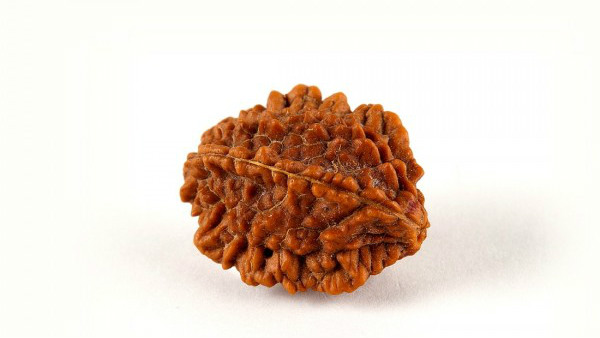 అనువాకం - 2 :