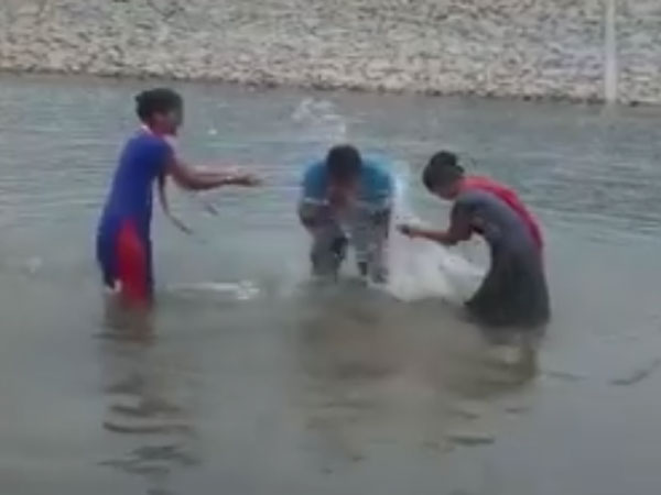 in reservoir take slefi to die in reservoir take slefi to die