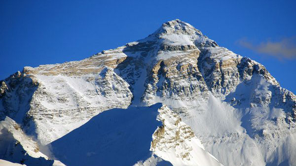  చదువులో ది బెస్ట్.. ఇంకా ఎన్నో రంగాల్లో అద్భుత ప్రతిభ