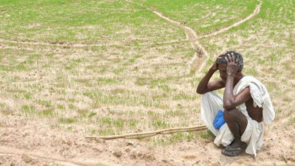  ఒకే ఒక్క ఫోన్ కాల్.. ఉన్నదంతా ఊడ్చేస్తున్నారు..!