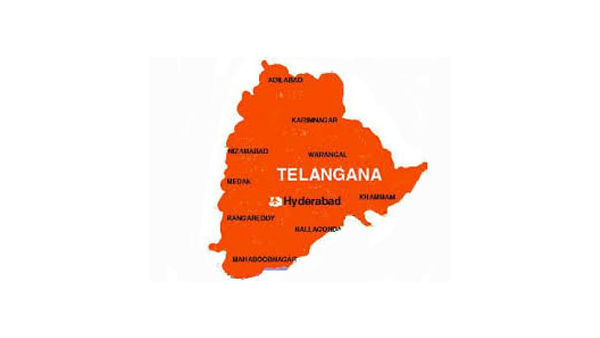 ఏ రాష్ట్రానికీ ఉపయోగం లేని బడ్జెట్ అన్న టీఆర్ఎస్ ఎంపీలు .. తెలంగాణాలోని పథకాలే కాపీ చేశారని ఎద్దేవా 