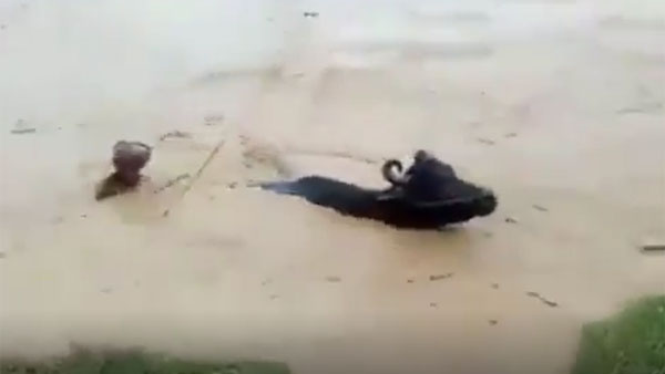 30జిల్లాలపై వరద ప్రభావం