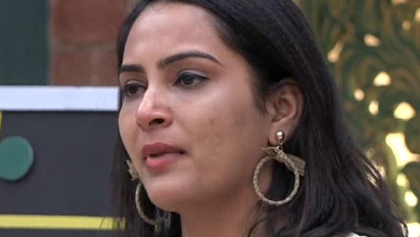  రెండో రోజే ఫుల్ హీట్..! అందగత్తెల సంవాదాలతో అట్టుడికిన బిగ్ బాస్3..!!