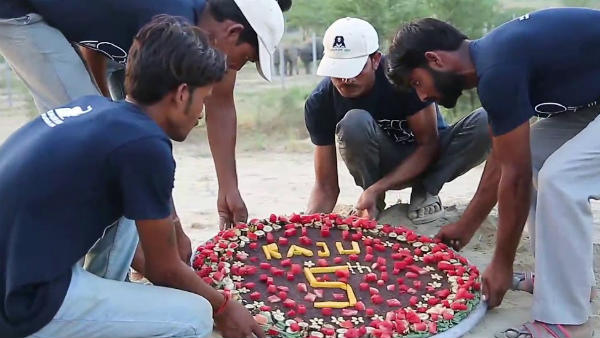An elephant rescued from captivity to celebrate its 5 years freedom