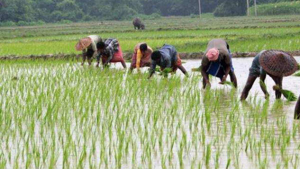 ఎదురు చూస్తున్న వేలాది మంది రైతులు..! అందని ద్రాక్షగా ఆర్థిక సాయం..!! 