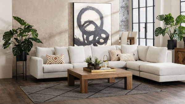 స్కీమ్ అన్నాడు.. స్కామ్ చేశాడు.. తీరా బోర్డు తిప్పేశాడు