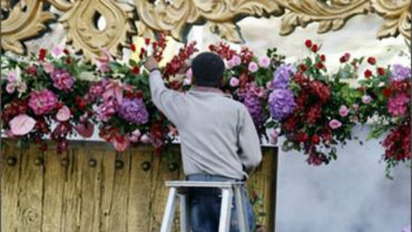 అంతా పచ్చదనమే.. సహజసిద్దమే..!