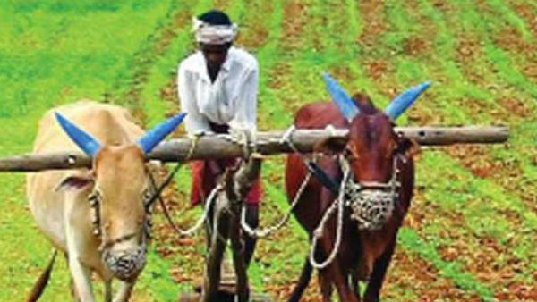 అధికారుల తీరుతో రోడ్డున పడ్డాం.. బాధితుల ఆవేదన..!