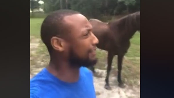 Man sings Lion King song with donkey in viral video Man sings Lion King song with donkey in viral video