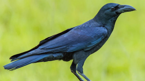  సోషల్ మీడియా ప్రచారం.. ఫుల్ గిరాకీ