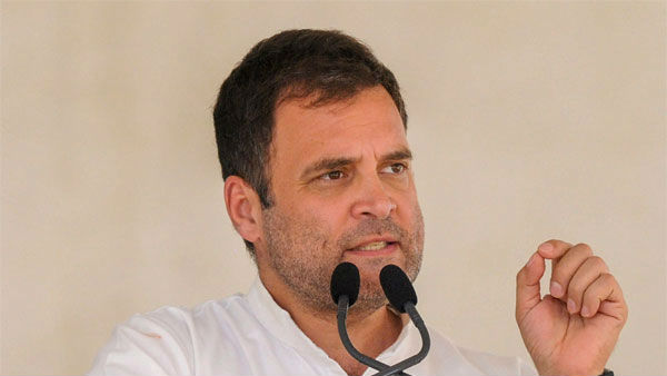పార్టీ పునర్‌వైభవం పై రాహుల్ దృష్టి 