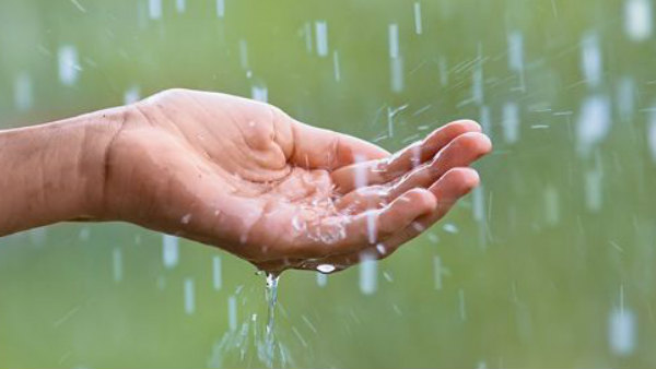  దోమల నుంచి వచ్చే వ్యాధులు