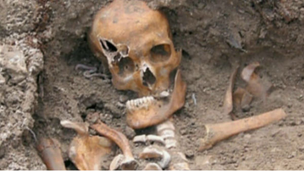 పరకాలకు చెందిన వ్యక్తిగా అనుమానం ... అస్థిపంజరం ఎవరిదో తేలితేనే మిస్టరీ తేలే అవకాశం