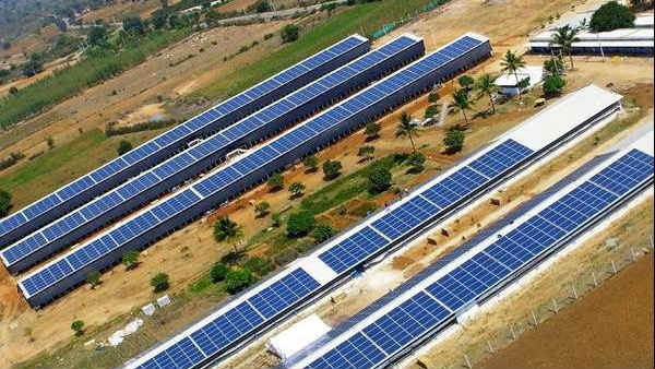 1,700 సోలార్ పలకలు ధ్వంసం..! గుర్తుతెలియని వ్యక్తుల చర్య..!! 1,700 సోలార్ పలకలు ధ్వంసం..! గుర్తుతెలియని వ్యక్తుల చర్య..!!