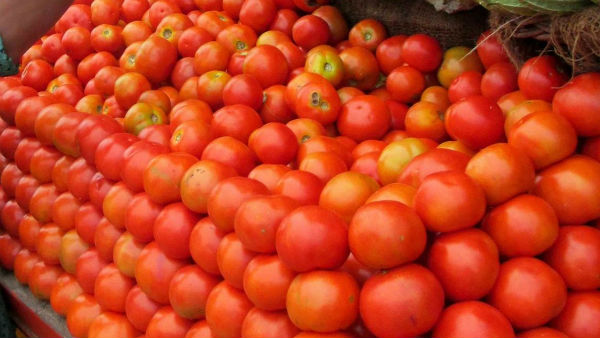 పెరుగుతున్న టమాటా ధరలు