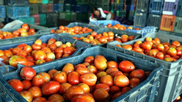  కిలో టమాటా కొనేందుకు భయపడుతున్న సామాన్యుడు