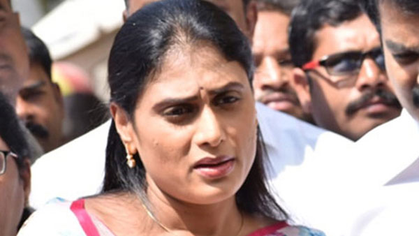 షర్మిళకు పదవి పైన జగన్ చర్చలు.. షర్మిళకు పదవి పైన జగన్ చర్చలు..