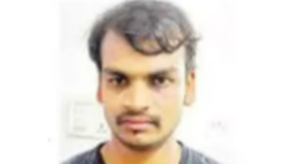 బుద్ధి గడ్డితిన్నది