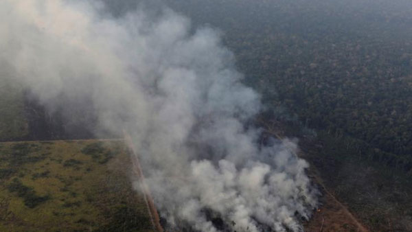 పర్యావరణవేత్తల ఆందోళన