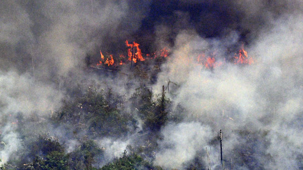 మానవ తప్పిదాలే కారణమా?