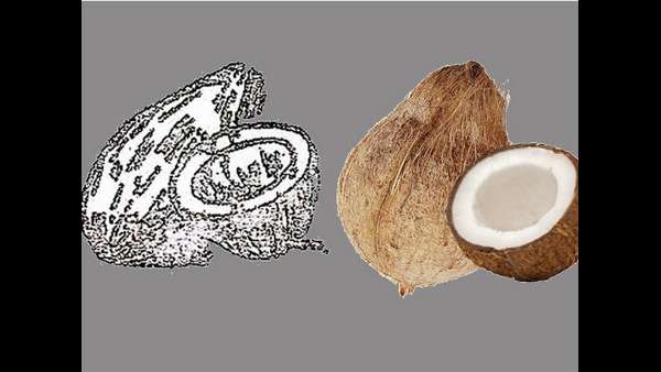 ఢిల్లీకి సీఎం 