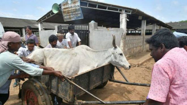 జగన్ సర్కార్ మౌనం దేనికి సూచన..!!