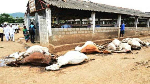  ప్రభుత్వానికి ప్రాణ సంకటం..! వివాదం నుంచి బయటపడేందుకు ప్రయత్నాలు..!!