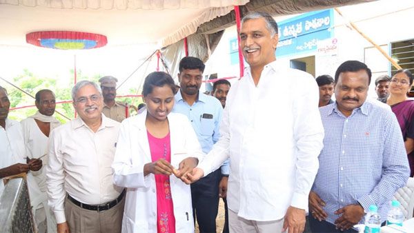 మామ ఊరిలో అల్లుడు గారు