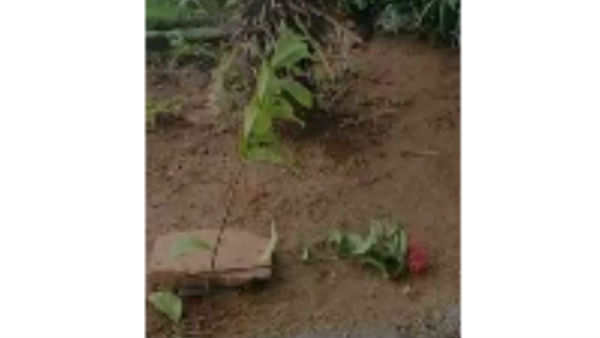 ఎందుకు.. ఏమిటి.. ఎలా..!