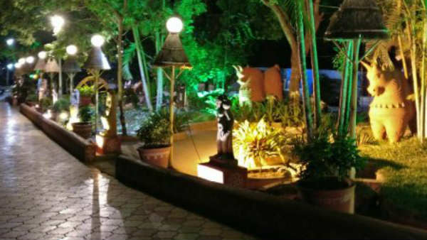 కోరిన మొక్కలు ..