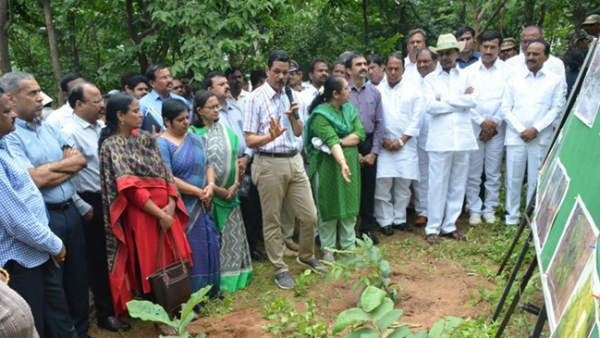 cm kcr forest tour in komatibanda with collectors