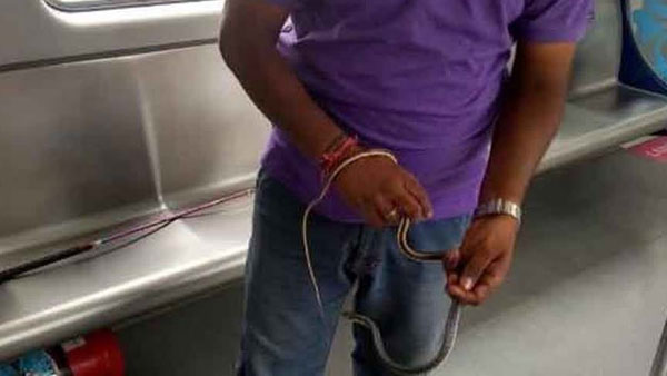 మెట్రోలోకి పాము