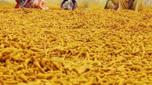 ఐపీ పెట్టిన వ్యాపారి నోటీసులతో దిక్కుతోచని అన్నదాతలు ... పట్టించుకోని మార్కెట్ వర్గాలు 